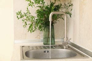 Kitchen sink with faucet and vase with plant in Thonotosassa, FL