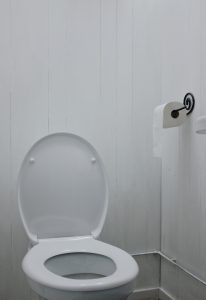 Toilet installation near mango, fl